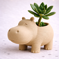 Whimsical Plant/Succulent Holder