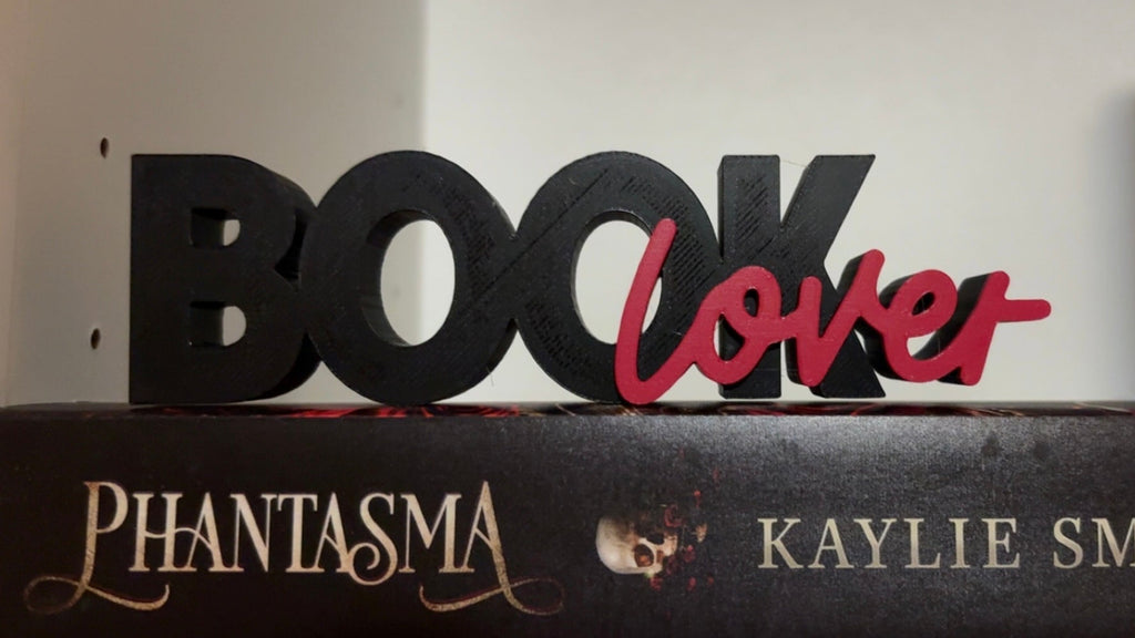 Book Lover Bookshelf Decor