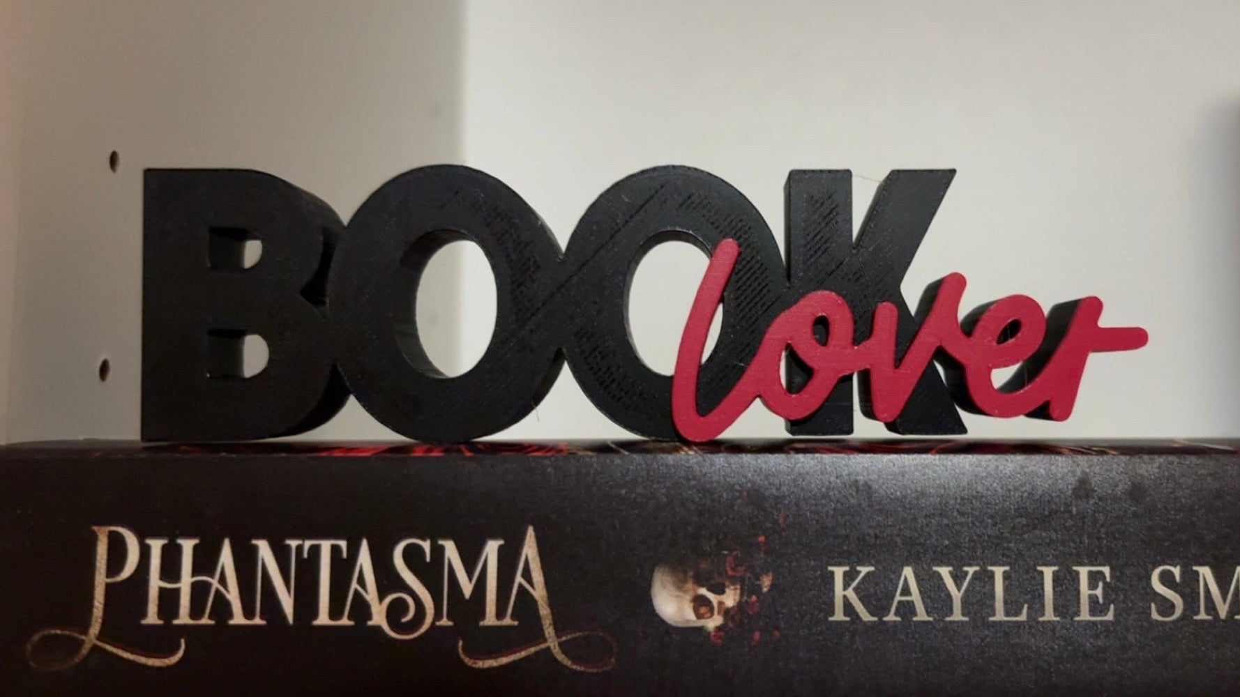 Book Lover Bookshelf Decor