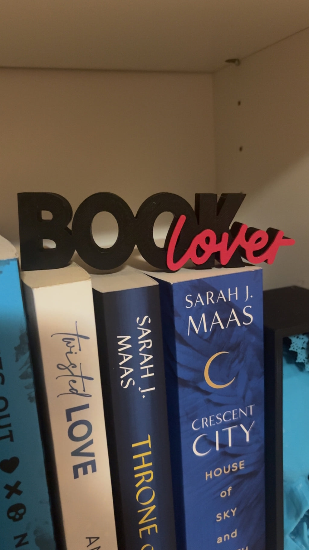 Book Lover Bookshelf Decor