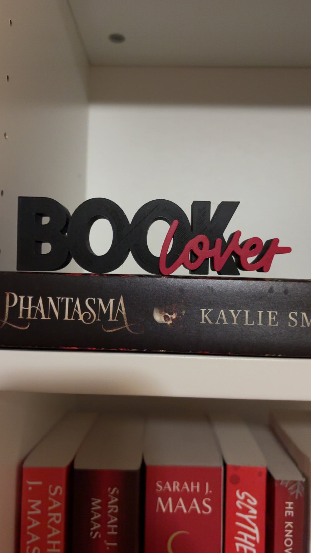 Book Lover Bookshelf Decor