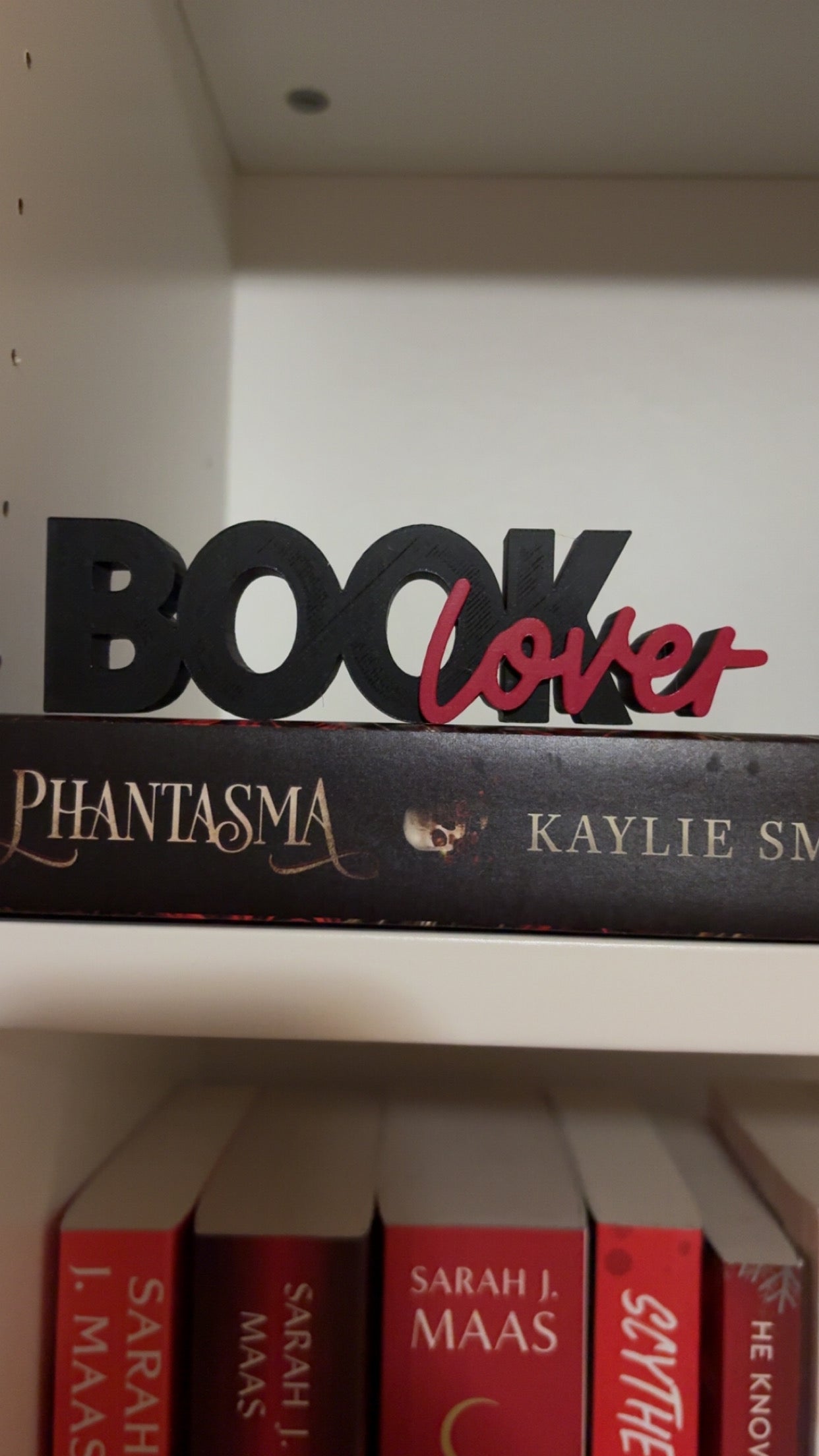 Book Lover Bookshelf Decor